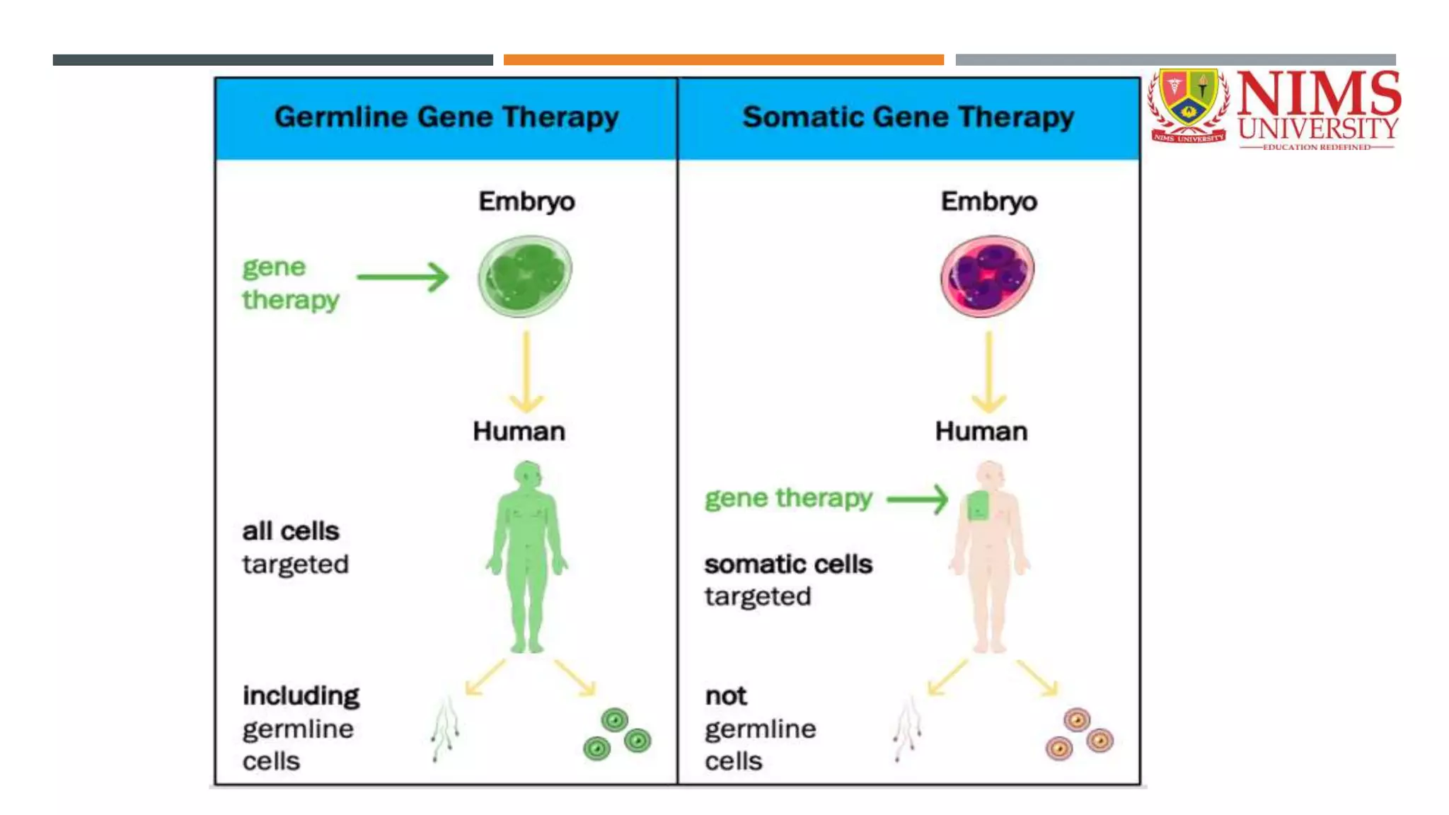 Nucleic Acid Based Therapeutic Delivery System.pptx