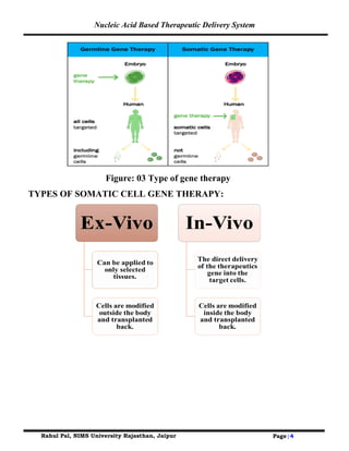 Nucleic Acid Based Therapeutic Delivery System
Rahul Pal, NIMS University Rajasthan, Jaipur Page|4
Figure: 03 Type of gene therapy
TYPES OF SOMATIC CELL GENE THERAPY:
 