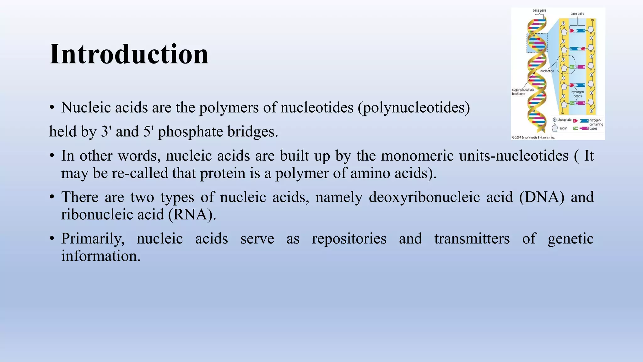 Nucleic acid biomolecule | PDF