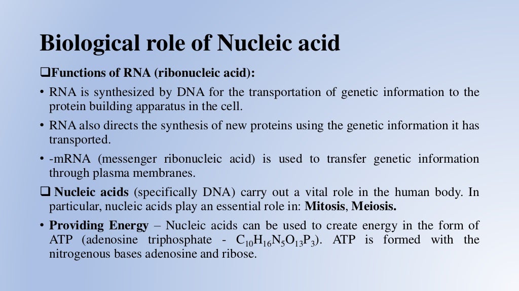 Nucleic acid biomolecule