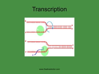 Transcription www.freelivedoctor.com 