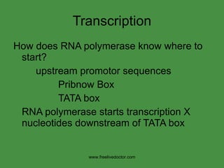 Transcription How does RNA polymerase know where to start? upstream promotor sequences Pribnow Box TATA box RNA polymerase starts transcription X nucleotides downstream of TATA box www.freelivedoctor.com 