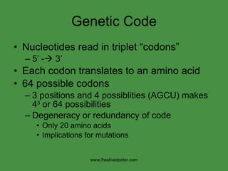 Genetic Code Nucleotides read in triplet “codons” 5’ -   3’ Each codon translates to an amino acid 64 possible codons 3 positions and 4 possiblities (AGCU) makes 4 3  or 64 possibilities Degeneracy or redundancy of code Only 20 amino acids Implications for mutations www.freelivedoctor.com 