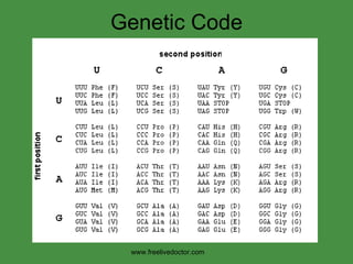 Genetic Code www.freelivedoctor.com 