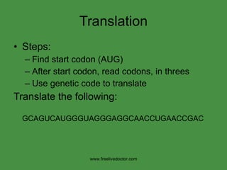 Translation Steps: Find start codon (AUG)  After start codon, read codons, in threes Use genetic code to translate Translate the following: GCAGUCAUGGGUAGGGAGGCAACCUGAACCGAC www.freelivedoctor.com 
