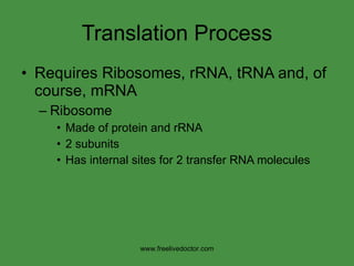 Translation Process Requires Ribosomes, rRNA, tRNA and, of course, mRNA Ribosome Made of protein and rRNA 2 subunits Has internal sites for 2 transfer RNA molecules www.freelivedoctor.com 