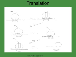 Translation www.freelivedoctor.com 