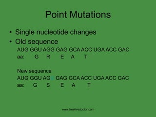 Point Mutations Single nucleotide changes Old sequence AUG   GGU AGG GAG GCA ACC UGA ACC GAC aa:  G   R   E  A  T New sequence AUG   GGU AG U  GAG GCA ACC UGA ACC GAC aa:  G   S   E A T www.freelivedoctor.com 