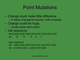 Point Mutations Change could make little difference If valine changed to leucine, both nonpolar Change could be huge, Could erase start codon Old sequence AUG   GGU AGG GAG GCA ACC UGA ACC GAC aa:  G   R   E  A  T New sequence AU U  GGU AG A  GAG GCA ACC UGA ACC GAC aa:  no start codon…protein not made www.freelivedoctor.com 
