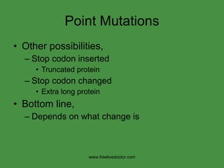 Point Mutations Other possibilities, Stop codon inserted Truncated protein Stop codon changed Extra long protein Bottom line, Depends on what change is www.freelivedoctor.com 