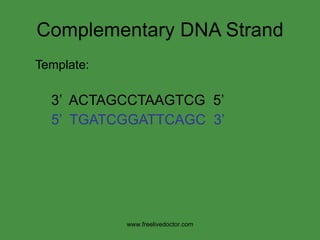 Complementary DNA Strand Template: 3’  ACTAGCCTAAGTCG  5’ 5’  TGATCGGATTCAGC  3’ www.freelivedoctor.com 
