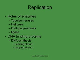Replication Roles of enzymes Topoisomerases Helicase DNA polymerases ligase DNA binding proteins DNA synthesis Leading strand Lagging strand www.freelivedoctor.com 