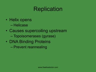 Replication Helix opens Helicase Causes supercoiling upstream Topoisomerases (gyrase) DNA Binding Proteins Prevent reannealing www.freelivedoctor.com 