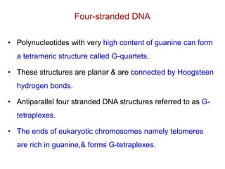 Tetraplex nucleicacidchemistry-141016010348-conversion-gate02.pdf