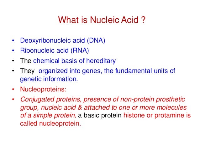 what is nucleic acid