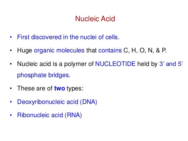 what is nucleic acid