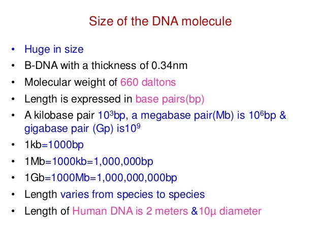 Nucleic Acid Chemistry