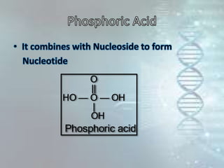 O
||
HO — O — OH
|
OH
Phosphoric acid
 