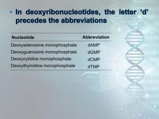 Nucleotide Abbreviation
Deoxyadenosine monophosphate
Deoxyguanosine monophosphate
Deoxycytidine monophosphate
Deoxythymidine monophosphate
dAMP
dGMP
dCMP
dTMP
 