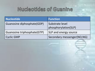 Nucleotide Function
Guanosine diphosphate(GDP) Substrate level
phosphorylation(SLP)
Guanosine triphosphate(GTP) SLP and energy source
Cyclic GMP Secondary messenger(NO,NG)
 