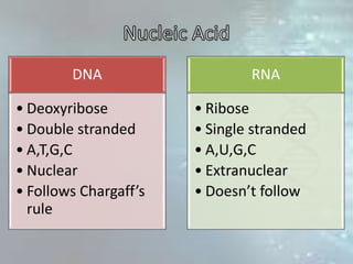 DNA
• Deoxyribose
• Double stranded
• A,T,G,C
• Nuclear
• Follows Chargaff’s
rule
RNA
• Ribose
• Single stranded
• A,U,G,C
• Extranuclear
• Doesn’t follow
 