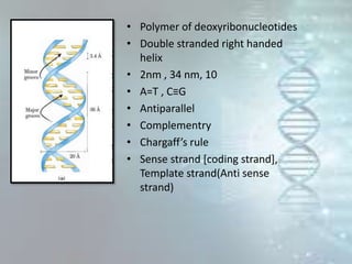 • Polymer of deoxyribonucleotides
• Double stranded right handed
helix
• 2nm , 34 nm, 10
• A=T , C≡G
• Antiparallel
• Complementry
• Chargaff’s rule
• Sense strand [coding strand],
Template strand(Anti sense
strand)
 