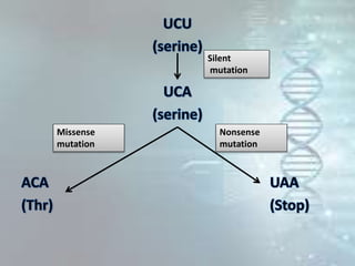 Missense
mutation
Nonsense
mutation
Silent
mutation
 