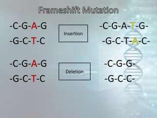 -C-G- -G -C-G-A- -G-
-G-C- -C -G-C-T- -C-
-C-G- -G -C-G-G-
-G-C- -C -G-C-C-
Insertion
Deletion
 