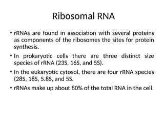 Ribosomal RNA
• rRNAs are found in association with several proteins
as components of the ribosomes the sites for protein
synthesis.
• In prokaryotic cells there are three distinct size
species of rRNA (23S, 16S, and 5S).
• In the eukaryotic cytosol, there are four rRNA species
(28S, 18S, 5.8S, and 5S.
• rRNAs make up about 80% of the total RNA in the cell.
 