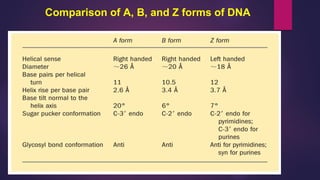 Comparison of A, B, and Z forms of DNA
 