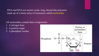 DNA and RNA are nucleic acids, long, thread-like polymers
made up of a linear array of monomers called nucleotides
All nucleotides contain three components:
1. A nitrogen base
2. A pentose sugar
3. A phosphate residue
 