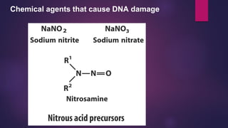 Chemical agents that cause DNA damage
 