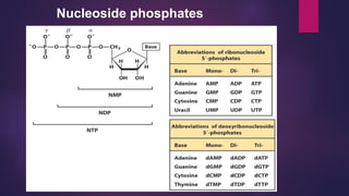 Nucleoside phosphates
 