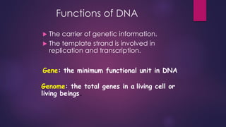 Functions of DNA
 The carrier of genetic information.
 The template strand is involved in
replication and transcription.
Gene: the minimum functional unit in DNA
Genome: the total genes in a living cell or
living beings.
 