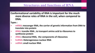 Structures and functions of RNA
Conformational variability of RNA is important for the much
more diverse roles of RNA in the cell, when compared to
DNA.
Types :
• mRNA: messenger RNA, the carrier of genetic information from DNA to
translate into protein
• tRNA: transfer RNA , to transport amino acid to ribosomes to
synthesize protein
• rRNA: ribosomal RNA, the components of ribosomes
• hnRNA: Heterogeneous nuclear RNA
• snRNA: small nuclear RNA
 