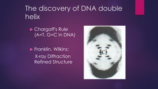 The discovery of DNA double
helix
 Chargaff's Rule
(A=T, G=C in DNA)
 Franklin, Wilkins:
X-ray Diffraction
Refined Structure
 