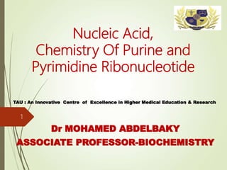 Nucleic Acid,
Chemistry Of Purine and
Pyrimidine Ribonucleotide
Dr MOHAMED ABDELBAKY
ASSOCIATE PROFESSOR-BIOCHEMISTRY
TAU : An Innovative Centre of Excellence in Higher Medical Education & Research
1
 