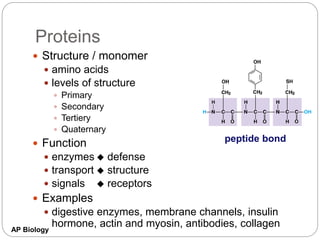 AP Biology
Proteins
 Structure / monomer
 amino acids
 levels of structure
 Primary
 Secondary
 Tertiery
 Quaternary
 Function
 enzymes u defense
 transport u structure
 signals u receptors
 Examples
 digestive enzymes, membrane channels, insulin
hormone, actin and myosin, antibodies, collagen
peptide bond
 