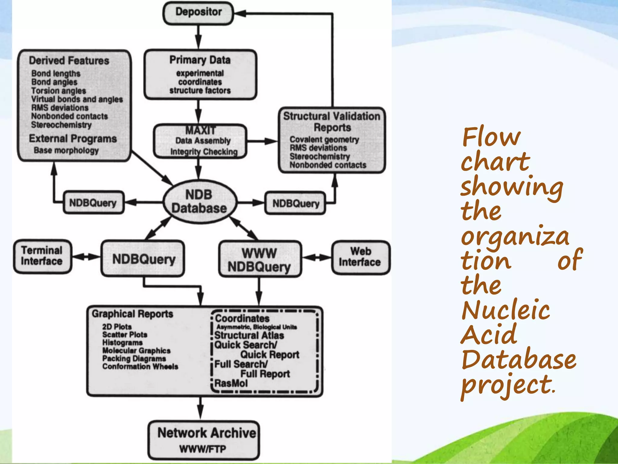Flow
chart
showing
the
organiza
tion of
the
Nucleic
Acid
Database
project.
 