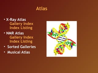 Nucleic acid database | PPT