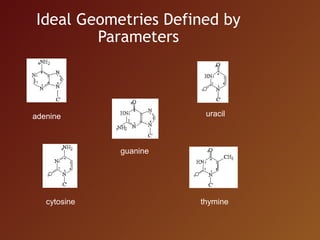 Nucleic acid database | PPT