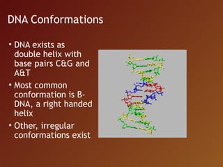 Nucleic acid database | PPT