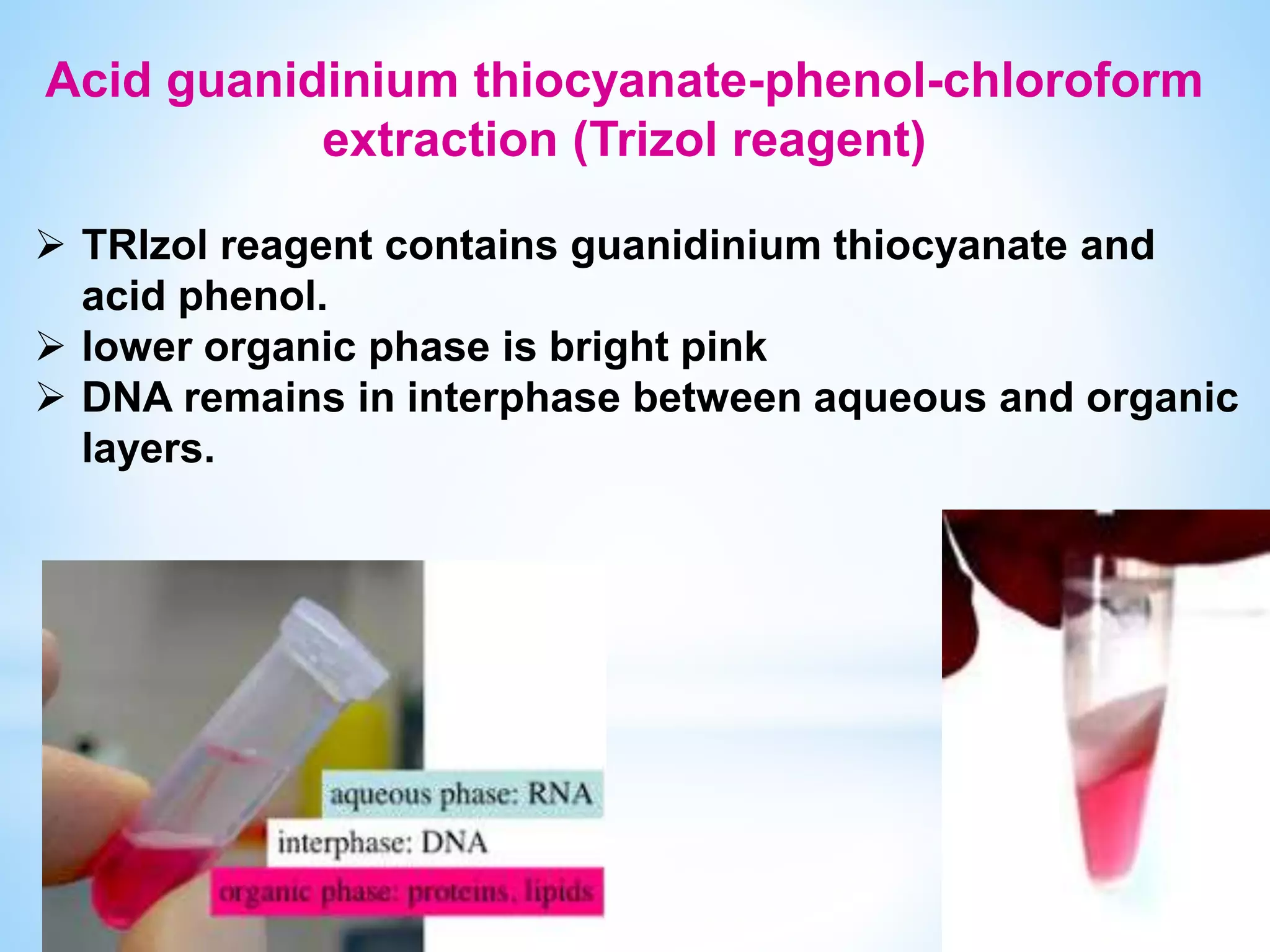 Nucleic acid extraction.pptx