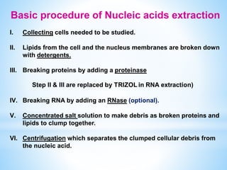 Extracting Cells Nucleic acid extraction.pptx