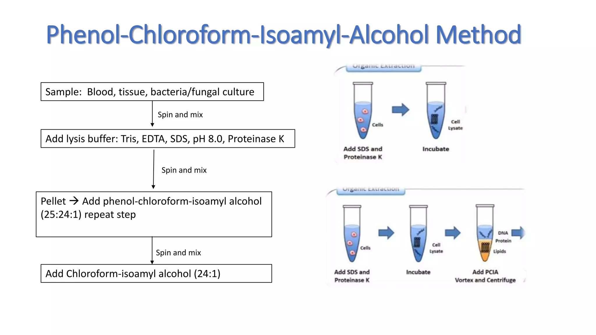 NUCLEIC ACID EXTRACTION AND PURIFICATION 2023.pptx