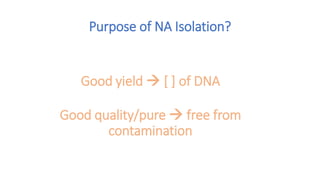 NUCLEIC ACID EXTRACTION AND PURIFICATION 2023.pptx