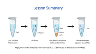 NUCLEIC ACID EXTRACTION AND PURIFICATION 2023.pptx