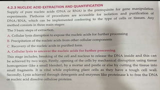 Nucleic acid extraction himanshu | PPTX