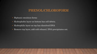 Nucleic acid extraction himanshu | PPTX