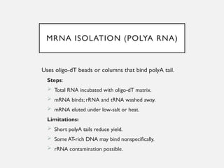 NUCLEIC ACID EXTRACTION TECHNIQUES ... MLS PRESENTATION.pptx